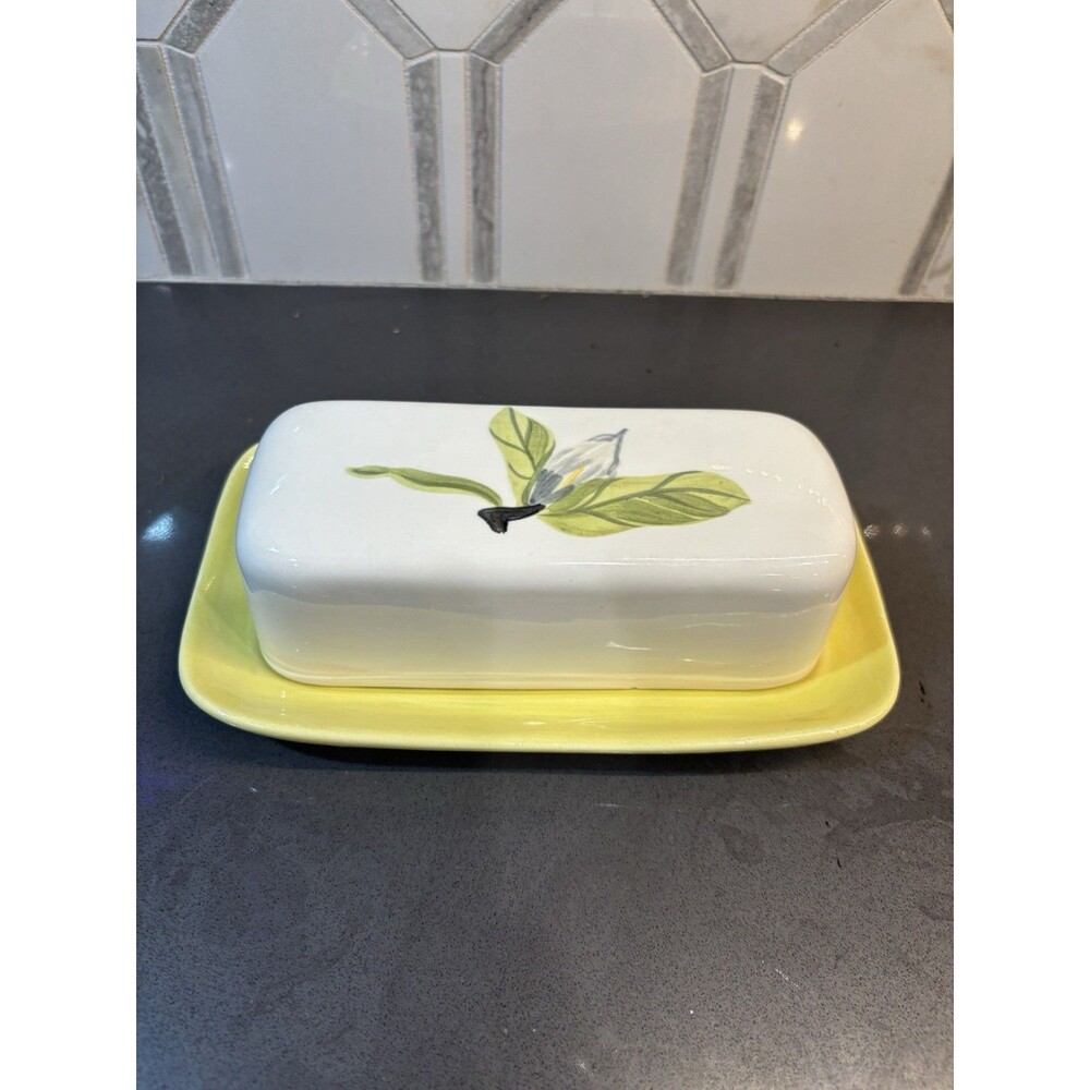 Red Wing Pottery Magnolia Covered Butter Dish Mid-Century Modern Hand Painted